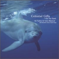 Celestial Gifts ～On The Earth