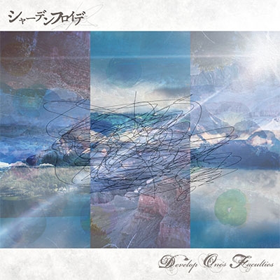 TOWER RECORDS ONLINE㤨Develop One's Faculties/㡼ǥե[SDR-339]פβǤʤ660ߤˤʤޤ