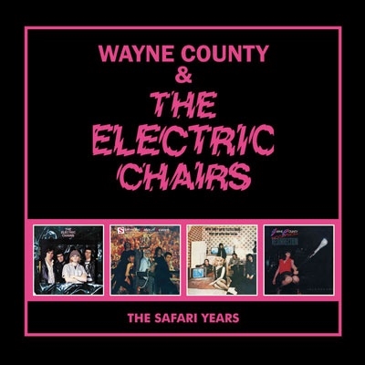 Wayne County/The Safari Years (4CD Capacity Wallet)[AHOYCW374]