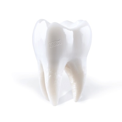 TOWER RECORDS ONLINE㤨Porij/Teething[PIASR1474CD]פβǤʤ3,190ߤˤʤޤ