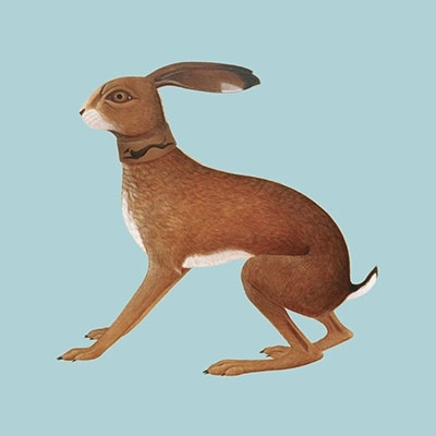 Vashti Bunyan/Lookaftering (Expanded Edition)[FATCD38X]