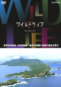 ワイルドライフ 世界自然遺産 小笠原諸島 絶海の楽園に奇跡の進化を見た