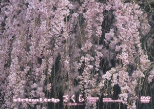 virtual trip さくら-第二章-