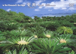 virtual trip 奄美 -黒潮の森-＜低価格版＞