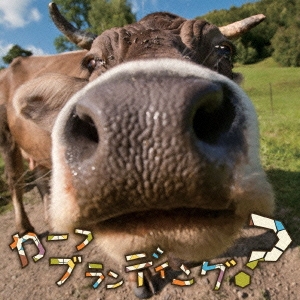 カーフブランディング?