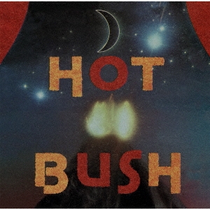 Hot Bush/ۥåȡ֥åָס[UVSL-2112]