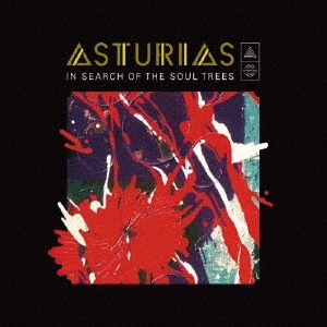 ASTURIAS/ - 󡦥֡롦ȥ꡼- ǥåǥ[AS0012]