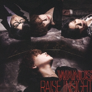 WANDS/RAISE INSIGHT ［CD+Blu-ray Disc］＜通常盤＞