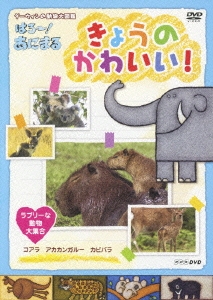 NHK DVD ダーウィンの動物大図鑑 はろ～!あにまる きょうのかわいい! ラブリーな動物大集合