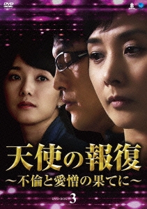 天使の報復 ～不倫と愛憎の果てに～ DVD-BOX3