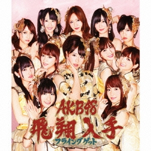 AKB48/フライングゲット (Type-B) [CD+DVD]＜数量限定生産盤＞