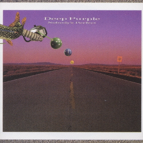 ノーバディーズ・パーフェクト