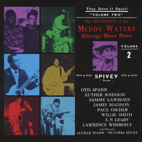 Muddy Waters/Chicago Blues Band/�ޥ���������[PCD-93209]