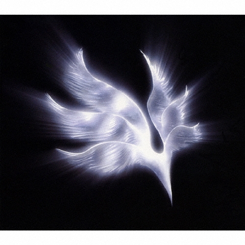 zaP5_G3566760W.JPG