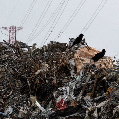 TOWER RECORDS ONLINE㤨computer fight/suburban blues[SBBB-2302]פβǤʤ2,200ߤˤʤޤ