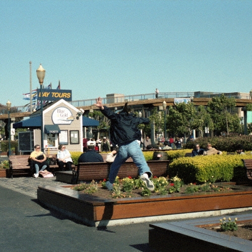 サニービート＜数量限定盤＞