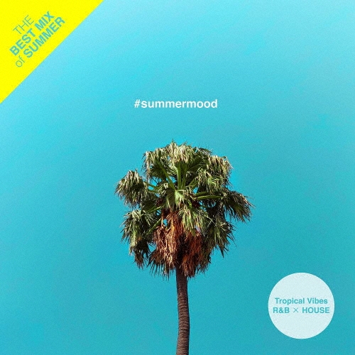 #summermood - The Best Mix of Tropical Vibes R&B × HOUSE