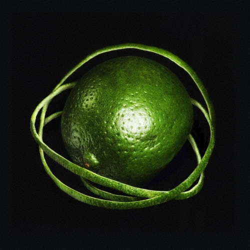 Big Thief/֥롦ե˥ƥ[4AD0850CDJP]