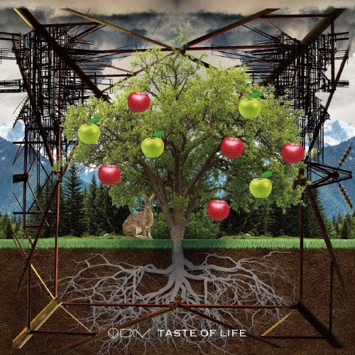 TOWER RECORDS ONLINE㤨DIV/TASTE OF LIFE CD+DVDϡס[DCCL-79]פβǤʤ1,650ߤˤʤޤ