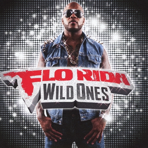 俺たちワイルド・ワンズ[最強ワイルド版]