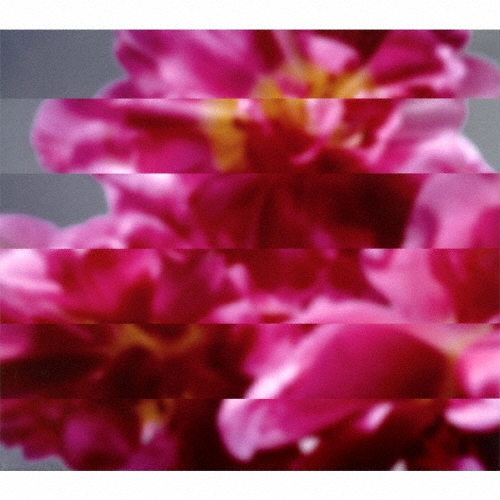 何度でも新しく生まれる [CD+DVD]