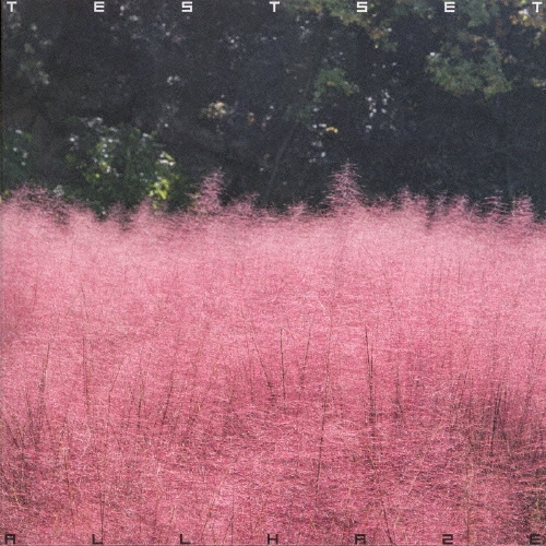 TOWER RECORDS ONLINE㤨TESTSET/ALL HAZE[WPCL-13664]פβǤʤ3,410ߤˤʤޤ