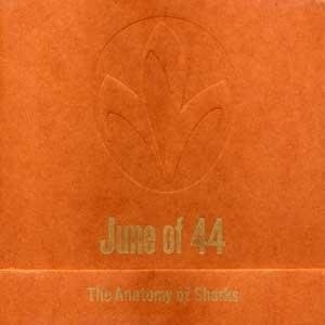 The Anatomy of Sharks 