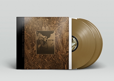 The Pixies/Come On Pilgrim - It's Surfer Rosa (Bronze Vinyl)
