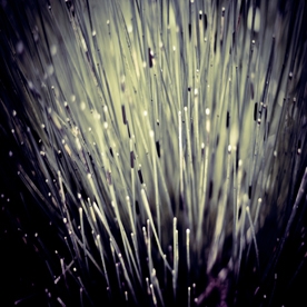 We Are Better for Being Built This Way<限定盤> We Are Better for Being Built This Way<限定盤>