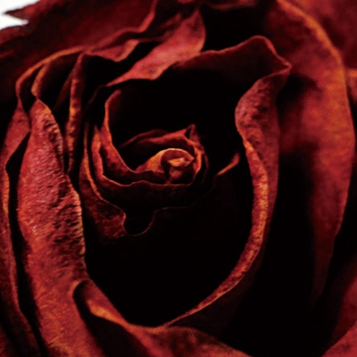 CUZ ME PAIN Compilation #3<生産限定盤> CUZ ME PAIN Compilation #3<生産限定盤>