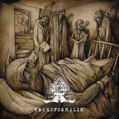 TOWER RECORDS ONLINE㤨DiagnoseLebensgefahr/Transformalin[HMP-017]פβǤʤ2,750ߤˤʤޤ