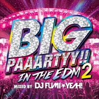 DJ FUMIYEAH!/BIG PAAARTYY!! IN THE EDM 2 mixed by DJ FUMIYEAH![FARM-0407]