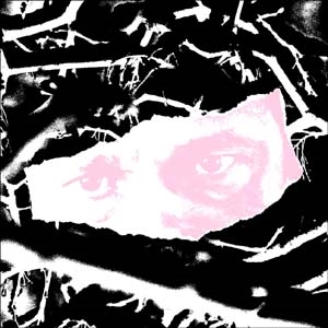 TOWER RECORDS ONLINE㤨Biome (Dubstep/Fargo EP[KZN004]פβǤʤ2,890ߤˤʤޤ