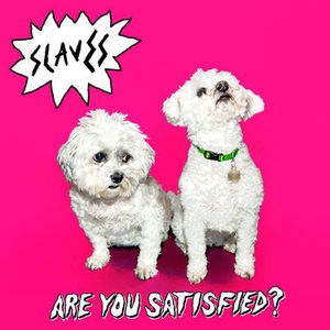 Slaves/Are You Satisfied? 13 Tracks[4725461]