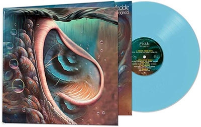 Meddle Reimgained: A Tribute to Pink Floyd＜限定盤/Blue Vinyl＞