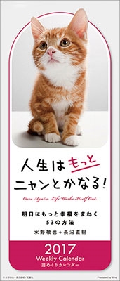 人生はもっとニャンとかなる 17 カレンダー