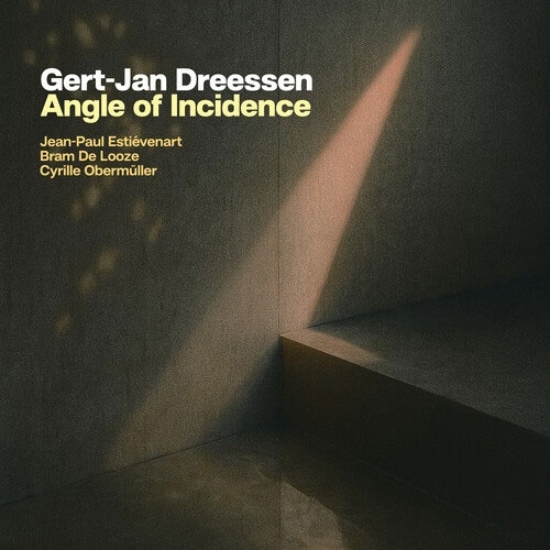 TOWER RECORDS ONLINE㤨Gert Jan Dreessen/Angle of Incidence[5063812388211]פβǤʤ2,690ߤˤʤޤ