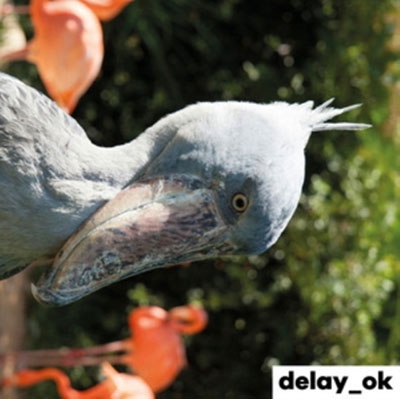 TOWER RECORDS ONLINE㤨delay_ok/Modern UgandaColored Vinyl[UKM093COLOR]פβǤʤ5,690ߤˤʤޤ