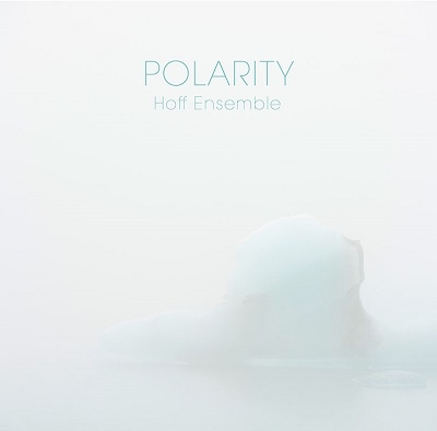 Polarity<Clear Vinyl> Polarity<Clear Vinyl>