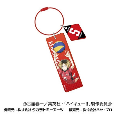 劇場版ハイキュー!! ゴミ捨て場の決戦 ワイヤープレートキーホルダー04 孤爪 研磨