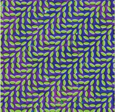 Animal Collective/Merriweather Post Pavilion [WIGLP216]