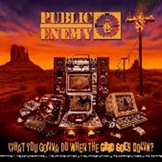 Public Enemy/What You Gonna Do When The Grid Goes Down?[3515051]