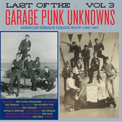 The Last Of The Garage Punk Unknowns Vol.3[CRYPT111LP]