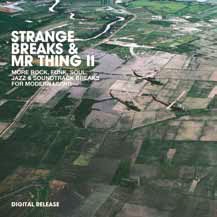 Strange Breaks & Mr.Thing 2＜限定盤＞
