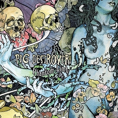 TOWER RECORDS ONLINE㤨Pig Destroyer/Phantom LimbColored Vinyl[RR48861]פβǤʤ2,790ߤˤʤޤ