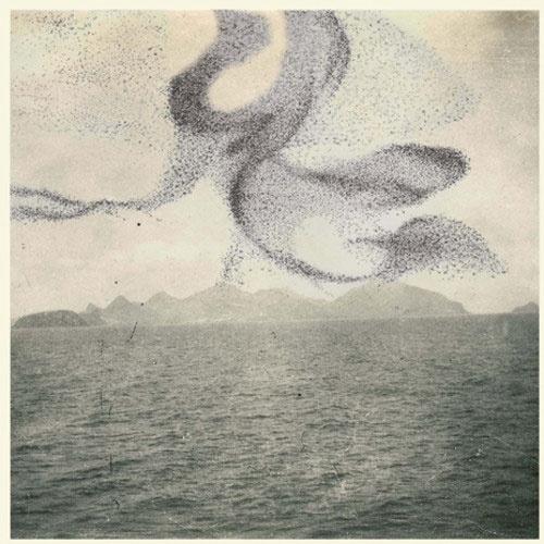 A Small Murmuration＜限定盤＞