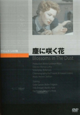 塵に咲く花 塵に咲く花