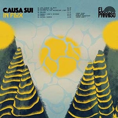 Causa Sui/In Flux ［10inch x2］＜限定盤/Random Eco-Mix Vinyl＞