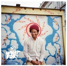Toro Y Moi/What For?ס[CAK102LP]