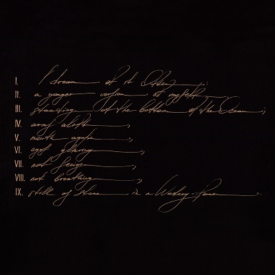 Dreams Are Not Enough＜Black Vinyl＞